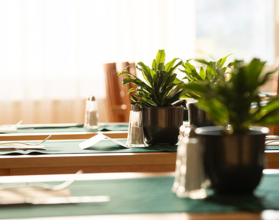 MASLINICA-Hedera-Hotel_15