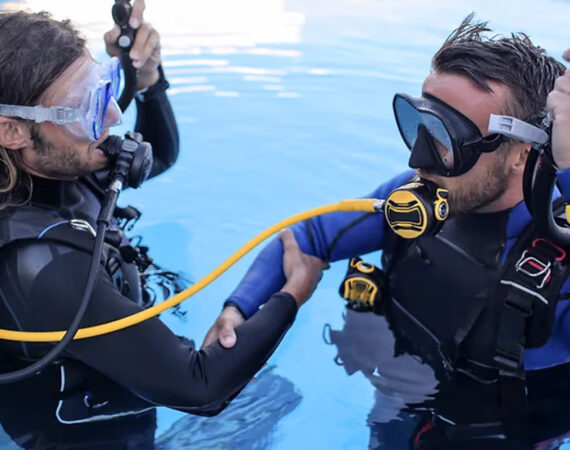 MASLINICA-Mimosa-Hotel_59