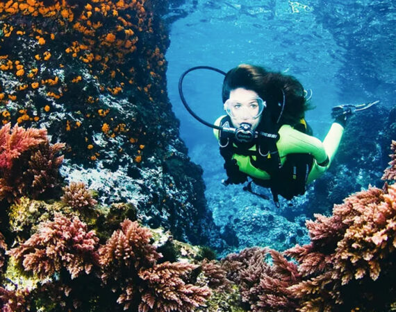 MASLINICA-Narcis-Hotel_26