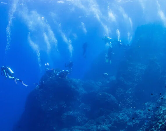 MASLINICA-Narcis-Hotel_28