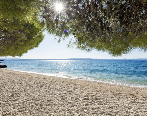 Bluesun-Hotel-Alga_15